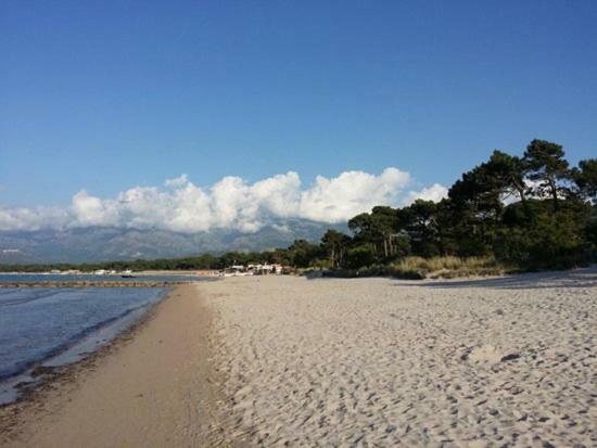 Les Residences Pinea