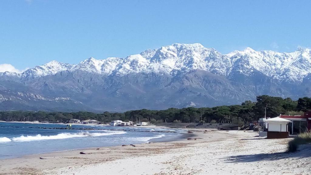 Apartamento Les Residences Pinea Calvi (Corsica)
