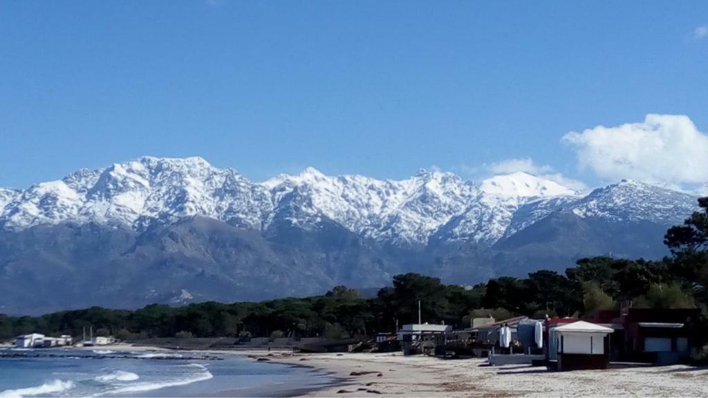 Les Residences Pinea Calvi (Corsica)
